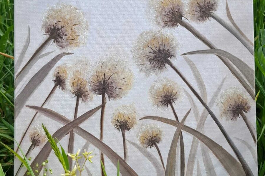 Dandelion Dreams